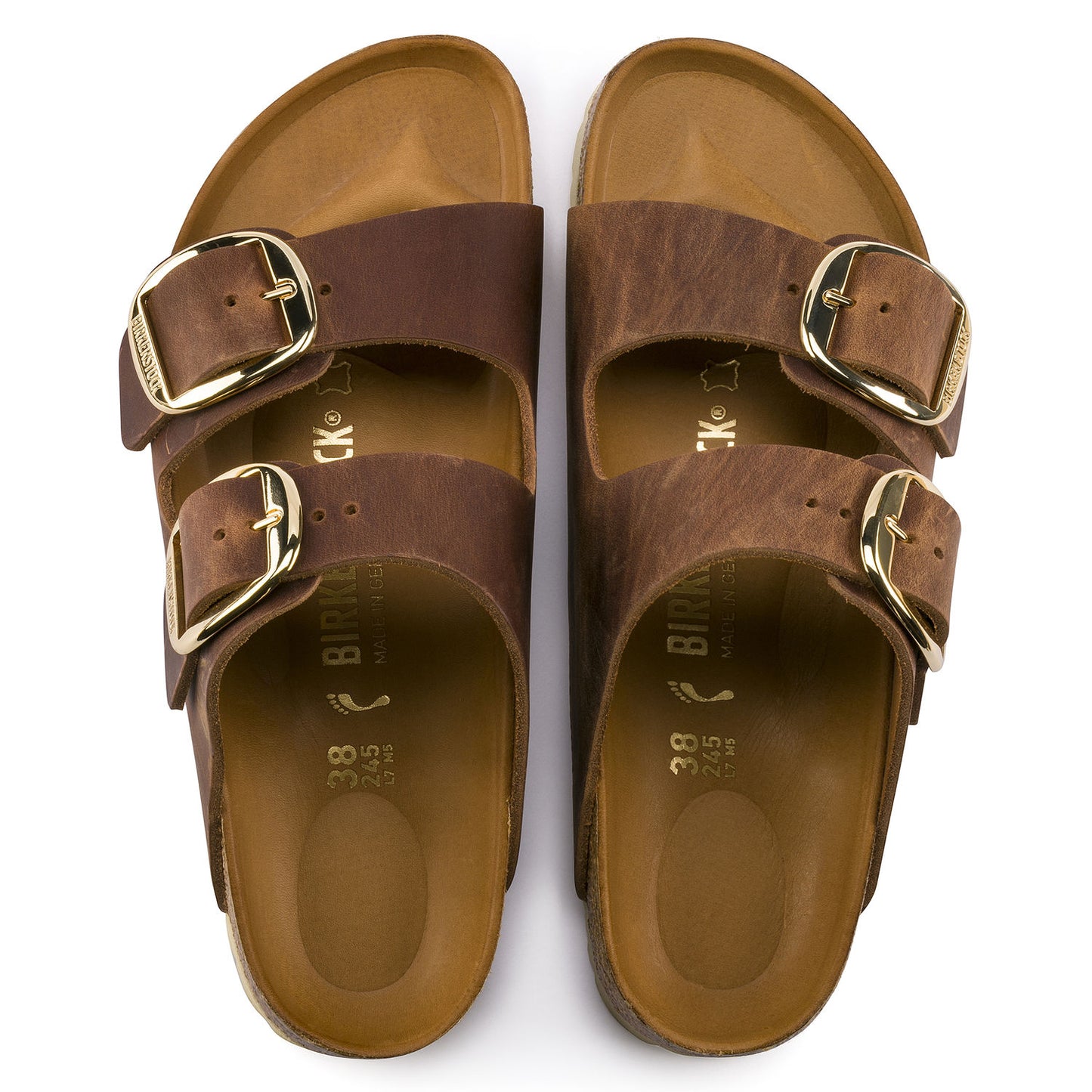 Arizona Big Buckle : Cognac