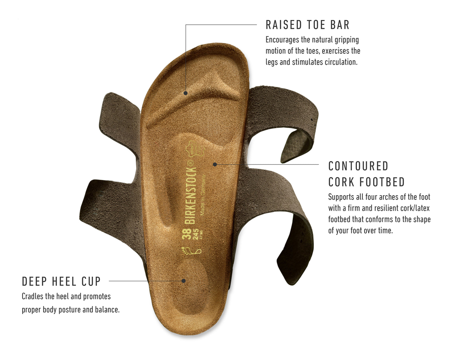 Complete Birkenstock